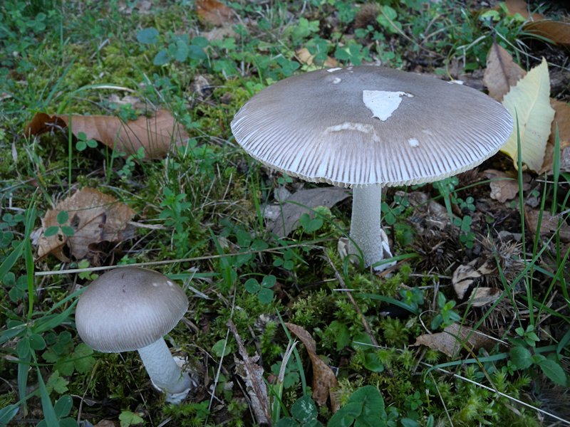 Forse l''ultima bellissima giornata..!!